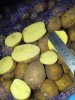 Картофель оптом из Брянской области