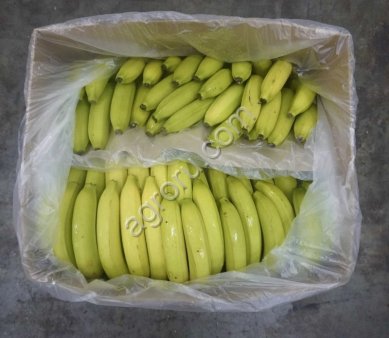 Свежие бананы (Class I)