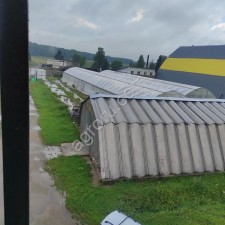 Аренда теплиц