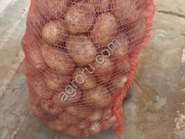 Картофель  фермерский