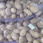 Картофель жёлтый