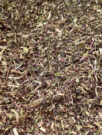 Душица орегано