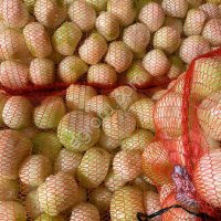 Лук очищенный в сетках