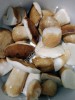 Солёные и маринованные грибы от компании Грибной Алтай!