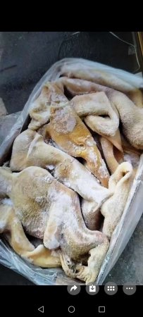 Уши свиные замороженные