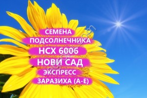 ГИБРИДЫ СЕМЕНА ПОДСОЛНЕЧНИКА НСХ 6006 (НОВИ САД) (ЭКСПРЕСС)