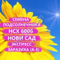 ГИБРИДЫ СЕМЕНА ПОДСОЛНЕЧНИКА НСХ 6006 (НОВИ САД) (ЭКСПРЕСС)