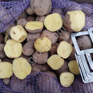 Картофель