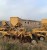 Стерневая сeялка скп-2,1 сцепка