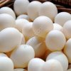 Яйцо куриные фабричное и деревенское ( домашнее)