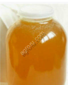 Медовый десерт Донниковый мёд