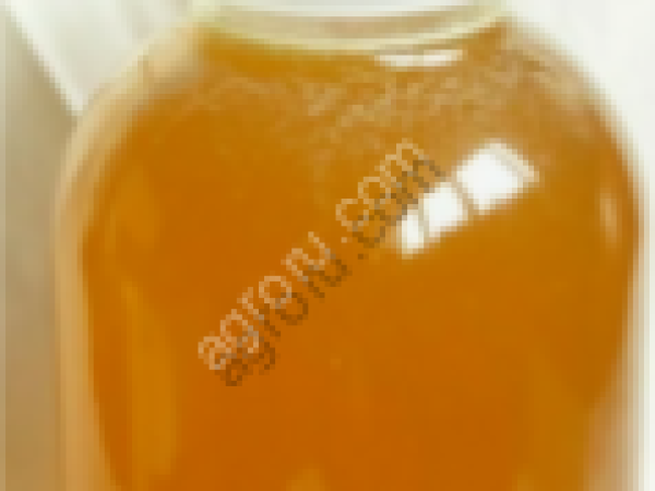 Медовый десерт Донниковый мёд