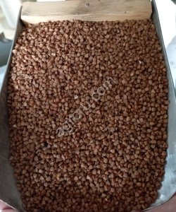 Крупа гречневая ядрица первый и высший сорт