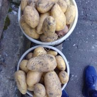 Логвинова Александра Евгеньевна