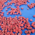 Малина замороженная ЭКСТРА