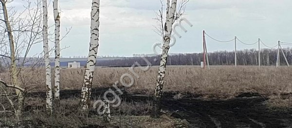 Участок земли 2,6 Га( 3 км от г. Пензы, направление на Москву)