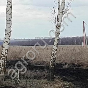 Участок земли 2,6 Га( 3 км от г. Пензы, направление на Москву)