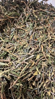 Саган дайля