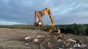 Расчистка территорий от деревьев и пней от 1 Га