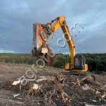 Расчистка территорий от деревьев и пней от 1 Га