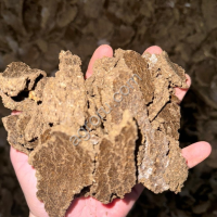 Жмых подсолнечный