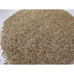 семена Тимофеевка луговая