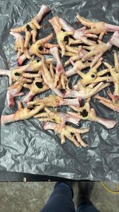 лапы куриные