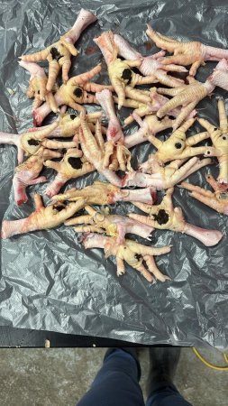 лапы куриные