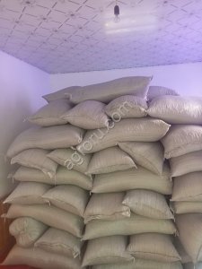 Скорлупа косточки абрикоса