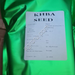 Семена укропа сорт Аллигатор