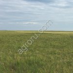 Земельный участок 54800 Га