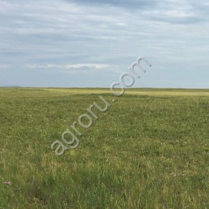 Земельный участок 54800 Га
