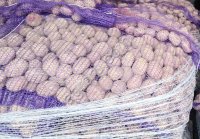 Картофель семенной разные сорта.