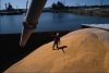 В России продлен мораторий на экспорт зерновых