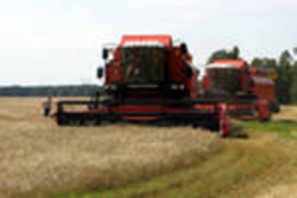 В Иркутской области началась уборка зерновых