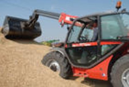 Алжир закупил на тендере 300 тыс. тонн дурума