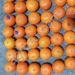 Мандарины Нова