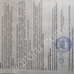 Черемша - маринованная стрелка молодого чеснока