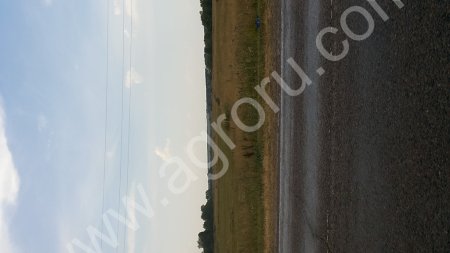 Латвия требует отсрочки реформы сельскохозяйственных выплат ЕС