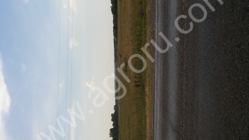Латвия требует отсрочки реформы сельскохозяйственных выплат ЕС