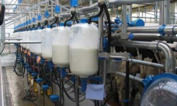 Краткий обзор молочного рынка