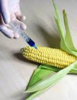 Whole Foods против генетически модифицированных продуктов