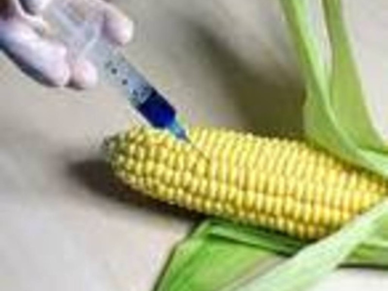 Whole Foods против генетически модифицированных продуктов