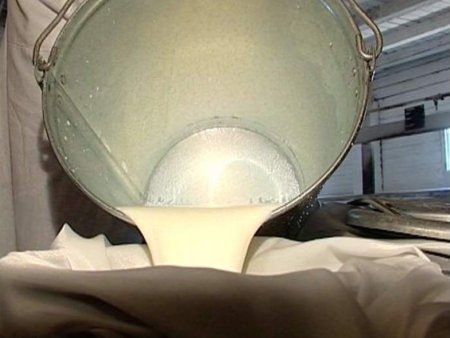 Клинские производители подвели итоги