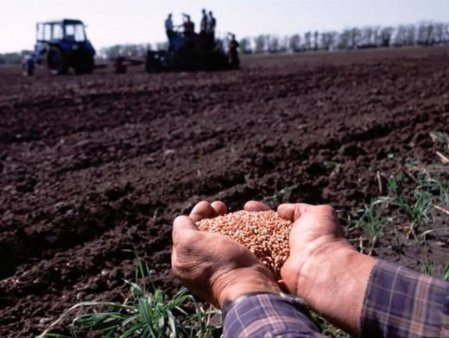 Об агрометеорологических условиях на территории России во 2-й и 3-й декадах февраля 2016 г