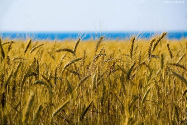 Ради импортозамещения