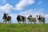 Алтайский край по итогам 2011г увеличил выпуск продукции АПК