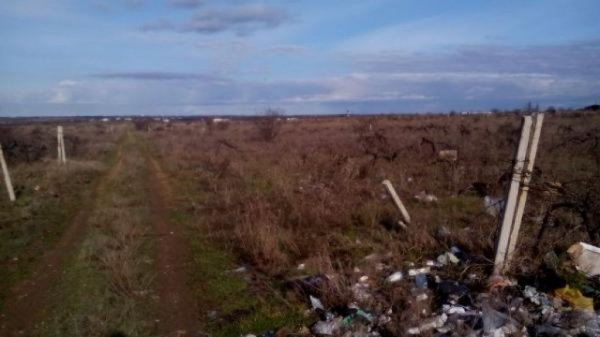 Поправки в земельное законодательство поспособствуют интенсификации сельскохозяйственной деятельности в окрестностях Севастополя