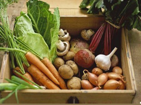 Отечественных овощей на белорусских прилавках станет больше