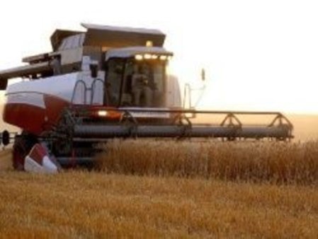 РФ в 2011 г. соберет 86 миллионов тонн зерна
